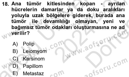 Temel Veteriner Patoloji Dersi 2024 - 2025 Yılı (Final) Dönem Sonu Sınav Soruları 18. Soru