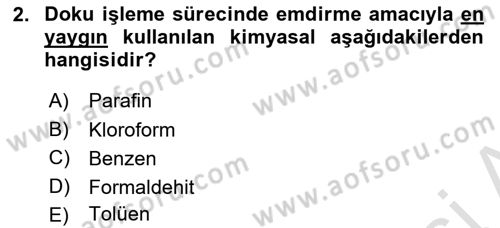 Temel Veteriner Patoloji Dersi 2024 - 2025 Yılı (Final) Dönem Sonu Sınav Soruları 2. Soru