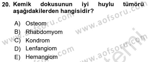 Temel Veteriner Patoloji Dersi 2024 - 2025 Yılı (Final) Dönem Sonu Sınav Soruları 20. Soru
