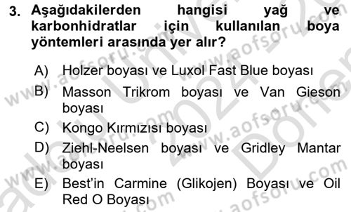 Temel Veteriner Patoloji Dersi 2024 - 2025 Yılı (Final) Dönem Sonu Sınav Soruları 3. Soru