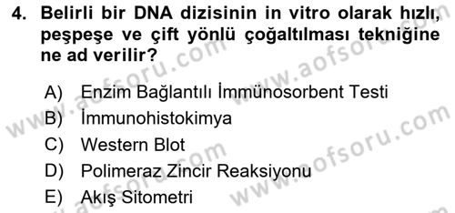 Temel Veteriner Patoloji Dersi 2024 - 2025 Yılı (Final) Dönem Sonu Sınav Soruları 4. Soru