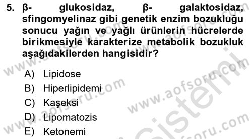 Temel Veteriner Patoloji Dersi 2024 - 2025 Yılı (Final) Dönem Sonu Sınav Soruları 5. Soru