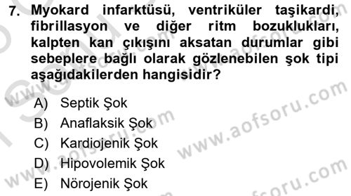 Temel Veteriner Patoloji Dersi 2024 - 2025 Yılı (Final) Dönem Sonu Sınav Soruları 7. Soru