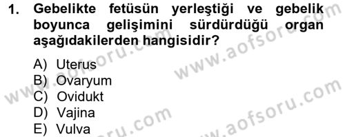 Doğum Bilgisi ve Suni Tohumlama Dersi 2012 - 2013 Yılı (Vize) Ara Sınav Soruları 1. Soru