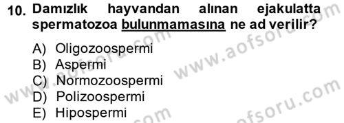 Doğum Bilgisi ve Suni Tohumlama Dersi 2012 - 2013 Yılı (Vize) Ara Sınav Soruları 10. Soru