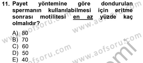 Doğum Bilgisi ve Suni Tohumlama Dersi 2012 - 2013 Yılı (Vize) Ara Sınav Soruları 11. Soru