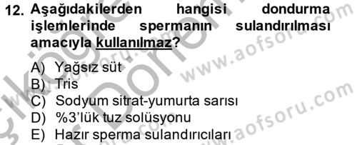 Doğum Bilgisi ve Suni Tohumlama Dersi 2012 - 2013 Yılı (Vize) Ara Sınav Soruları 12. Soru