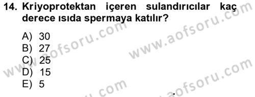 Doğum Bilgisi ve Suni Tohumlama Dersi 2012 - 2013 Yılı (Vize) Ara Sınav Soruları 14. Soru