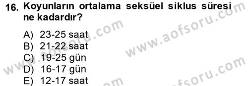 Doğum Bilgisi ve Suni Tohumlama Dersi 2012 - 2013 Yılı (Vize) Ara Sınav Soruları 16. Soru