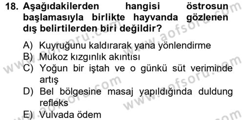 Doğum Bilgisi ve Suni Tohumlama Dersi 2012 - 2013 Yılı (Vize) Ara Sınav Soruları 18. Soru