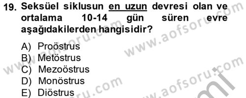 Doğum Bilgisi ve Suni Tohumlama Dersi 2012 - 2013 Yılı (Vize) Ara Sınav Soruları 19. Soru