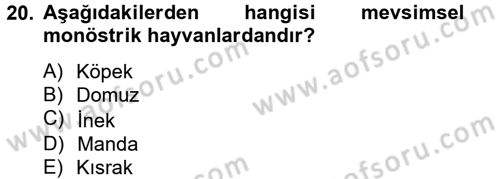 Doğum Bilgisi ve Suni Tohumlama Dersi 2012 - 2013 Yılı (Vize) Ara Sınav Soruları 20. Soru