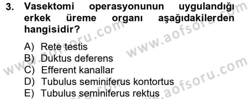 Doğum Bilgisi ve Suni Tohumlama Dersi 2012 - 2013 Yılı (Vize) Ara Sınav Soruları 3. Soru