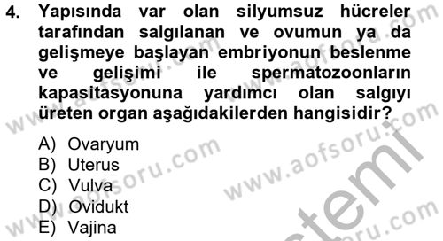 Doğum Bilgisi ve Suni Tohumlama Dersi 2012 - 2013 Yılı (Vize) Ara Sınav Soruları 4. Soru