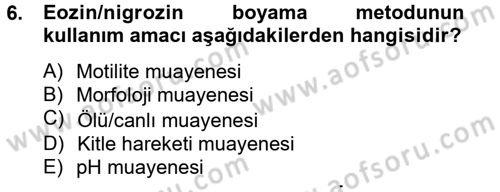 Doğum Bilgisi ve Suni Tohumlama Dersi 2012 - 2013 Yılı (Vize) Ara Sınav Soruları 6. Soru