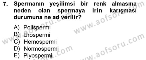 Doğum Bilgisi ve Suni Tohumlama Dersi 2012 - 2013 Yılı (Vize) Ara Sınav Soruları 7. Soru