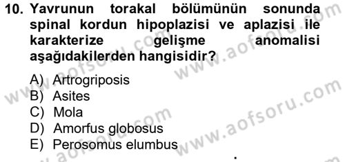 Doğum Bilgisi ve Suni Tohumlama Dersi 2012 - 2013 Yılı (Final) Dönem Sonu Sınav Soruları 10. Soru
