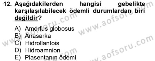 Doğum Bilgisi ve Suni Tohumlama Dersi 2012 - 2013 Yılı (Final) Dönem Sonu Sınav Soruları 12. Soru