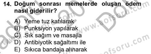 Doğum Bilgisi ve Suni Tohumlama Dersi 2012 - 2013 Yılı (Final) Dönem Sonu Sınav Soruları 14. Soru