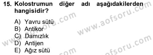 Doğum Bilgisi ve Suni Tohumlama Dersi 2012 - 2013 Yılı (Final) Dönem Sonu Sınav Soruları 15. Soru