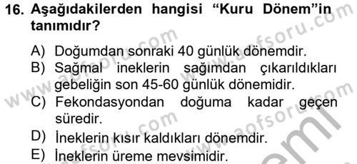 Doğum Bilgisi ve Suni Tohumlama Dersi 2012 - 2013 Yılı (Final) Dönem Sonu Sınav Soruları 16. Soru