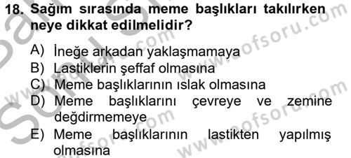 Doğum Bilgisi ve Suni Tohumlama Dersi 2012 - 2013 Yılı (Final) Dönem Sonu Sınav Soruları 18. Soru