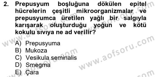 Doğum Bilgisi ve Suni Tohumlama Dersi 2012 - 2013 Yılı (Final) Dönem Sonu Sınav Soruları 2. Soru