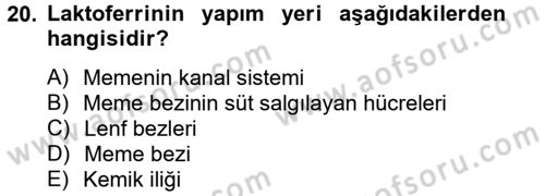 Doğum Bilgisi ve Suni Tohumlama Dersi 2012 - 2013 Yılı (Final) Dönem Sonu Sınav Soruları 20. Soru