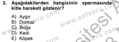 Doğum Bilgisi ve Suni Tohumlama Dersi 2012 - 2013 Yılı (Final) Dönem Sonu Sınav Soruları 3. Soru