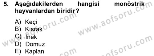 Doğum Bilgisi ve Suni Tohumlama Dersi 2012 - 2013 Yılı (Final) Dönem Sonu Sınav Soruları 5. Soru