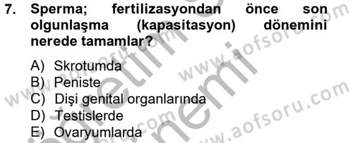 Doğum Bilgisi ve Suni Tohumlama Dersi 2012 - 2013 Yılı (Final) Dönem Sonu Sınav Soruları 7. Soru