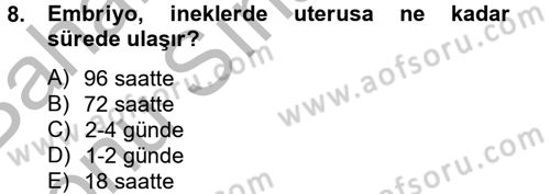 Doğum Bilgisi ve Suni Tohumlama Dersi 2012 - 2013 Yılı (Final) Dönem Sonu Sınav Soruları 8. Soru