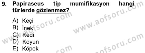 Doğum Bilgisi ve Suni Tohumlama Dersi 2012 - 2013 Yılı (Final) Dönem Sonu Sınav Soruları 9. Soru