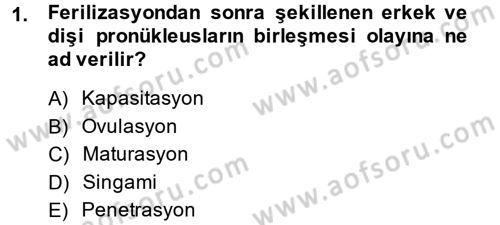 Doğum Bilgisi ve Suni Tohumlama Dersi 2013 - 2014 Yılı (Vize) Ara Sınav Soruları 1. Soru