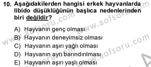 Doğum Bilgisi ve Suni Tohumlama Dersi 2013 - 2014 Yılı (Vize) Ara Sınav Soruları 10. Soru