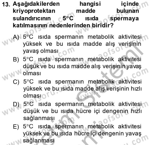 Doğum Bilgisi ve Suni Tohumlama Dersi 2013 - 2014 Yılı (Vize) Ara Sınav Soruları 13. Soru