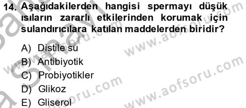 Doğum Bilgisi ve Suni Tohumlama Dersi 2013 - 2014 Yılı (Vize) Ara Sınav Soruları 14. Soru