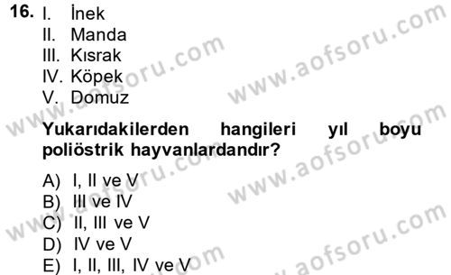 Doğum Bilgisi ve Suni Tohumlama Dersi 2013 - 2014 Yılı (Vize) Ara Sınav Soruları 16. Soru