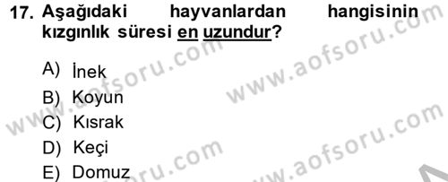 Doğum Bilgisi ve Suni Tohumlama Dersi 2013 - 2014 Yılı (Vize) Ara Sınav Soruları 17. Soru