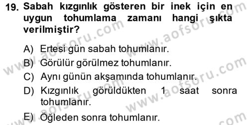 Doğum Bilgisi ve Suni Tohumlama Dersi 2013 - 2014 Yılı (Vize) Ara Sınav Soruları 19. Soru