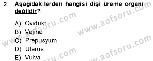 Doğum Bilgisi ve Suni Tohumlama Dersi 2013 - 2014 Yılı (Vize) Ara Sınav Soruları 2. Soru