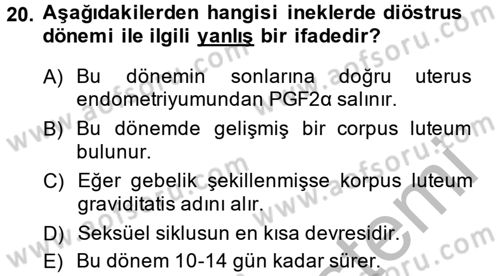 Doğum Bilgisi ve Suni Tohumlama Dersi 2013 - 2014 Yılı (Vize) Ara Sınav Soruları 20. Soru