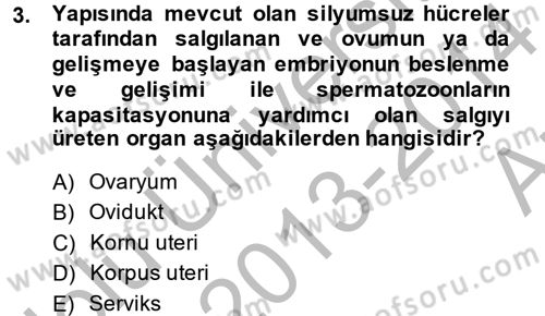 Doğum Bilgisi ve Suni Tohumlama Dersi 2013 - 2014 Yılı (Vize) Ara Sınav Soruları 3. Soru