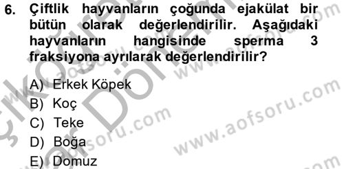 Doğum Bilgisi ve Suni Tohumlama Dersi 2013 - 2014 Yılı (Vize) Ara Sınav Soruları 6. Soru