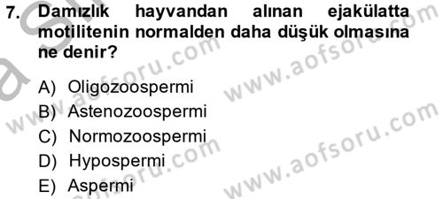 Doğum Bilgisi ve Suni Tohumlama Dersi 2013 - 2014 Yılı (Vize) Ara Sınav Soruları 7. Soru