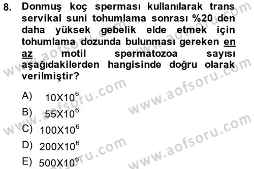 Doğum Bilgisi ve Suni Tohumlama Dersi 2013 - 2014 Yılı (Vize) Ara Sınav Soruları 8. Soru