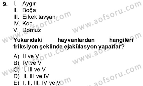 Doğum Bilgisi ve Suni Tohumlama Dersi 2013 - 2014 Yılı (Vize) Ara Sınav Soruları 9. Soru