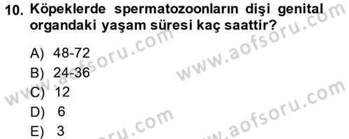 Doğum Bilgisi ve Suni Tohumlama Dersi 2013 - 2014 Yılı (Final) Dönem Sonu Sınav Soruları 10. Soru