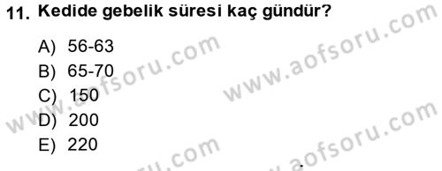 Doğum Bilgisi ve Suni Tohumlama Dersi 2013 - 2014 Yılı (Final) Dönem Sonu Sınav Soruları 11. Soru