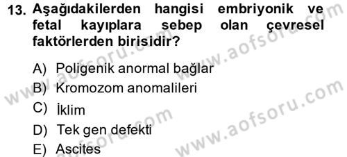 Doğum Bilgisi ve Suni Tohumlama Dersi 2013 - 2014 Yılı (Final) Dönem Sonu Sınav Soruları 13. Soru
